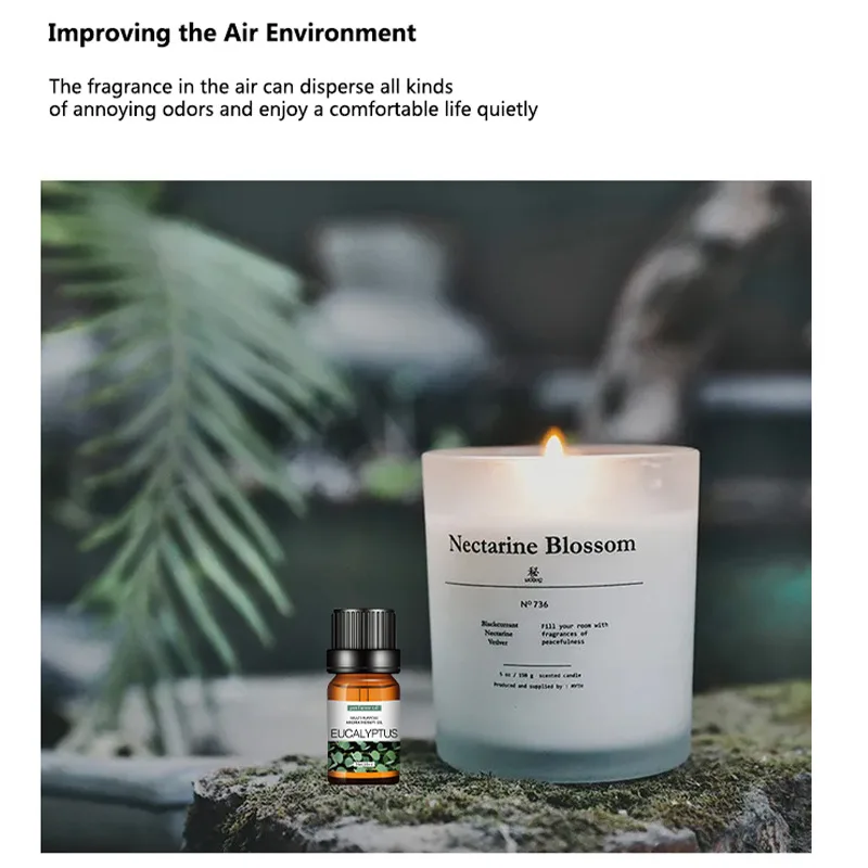 Huiles parfumées pour bougies  - Fragrance Oil Set avis et prix